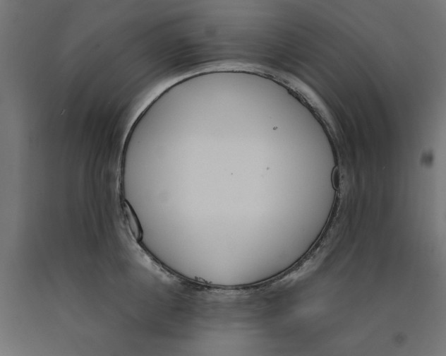 X0000090410860200708031041