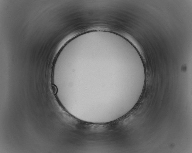 X0000090410861200708031041