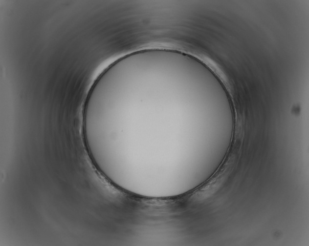 X0000090410862200708031041