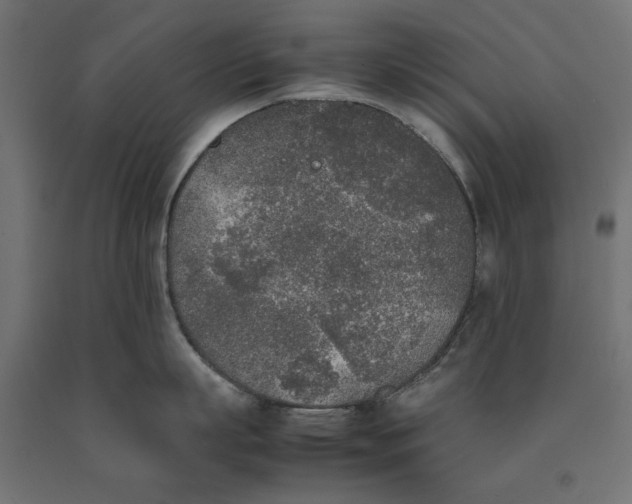 X0000090410863200708031041