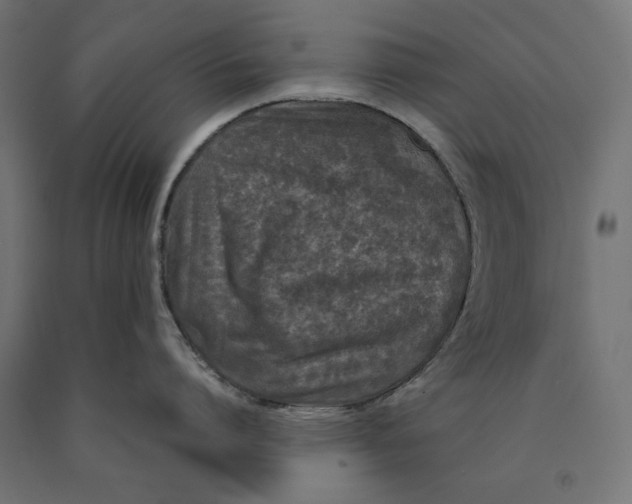 X0000090410864200708031041