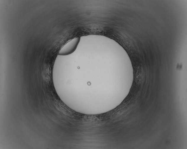 X0000090410866200708031040