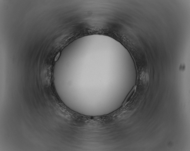 X0000090410868200708031040