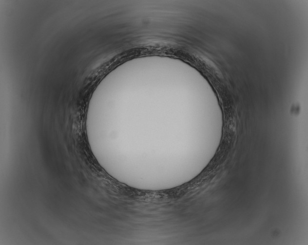 X0000090410869200708031040