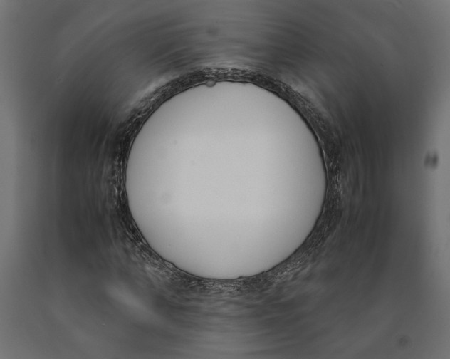 X0000090410870200708031040