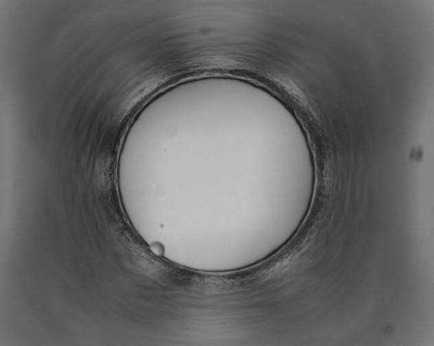 X0000090410873200708031040