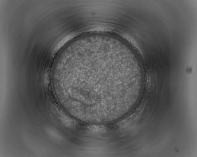 X0000090410874200708031040