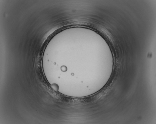 X0000090410875200708031040