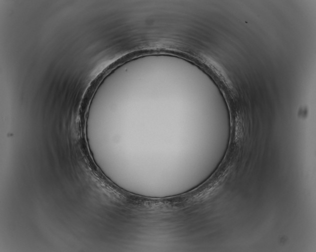 X0000090410876200708031040