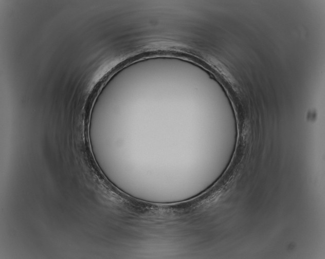 X0000090410877200708031040