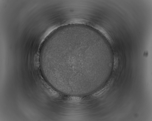 X0000090410878200708031040