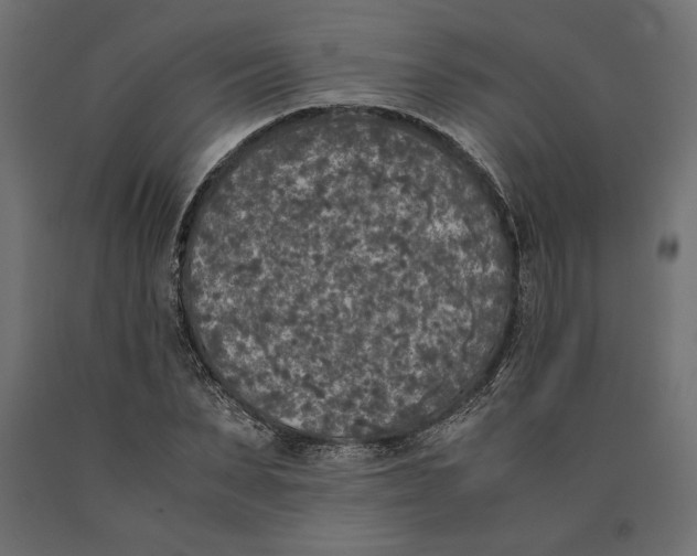X0000090410879200708031040