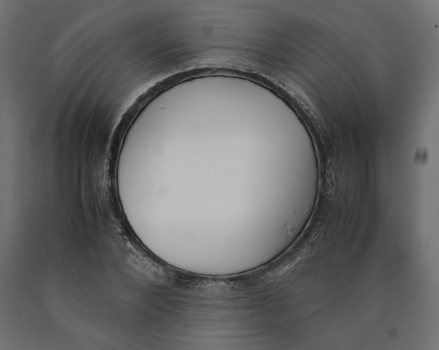 X0000090410880200708031040