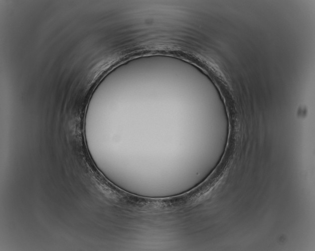 X0000090410881200708031040