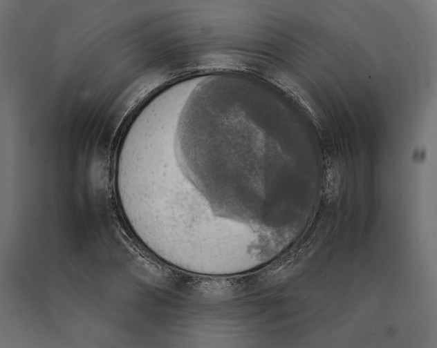 X0000090410882200708031040