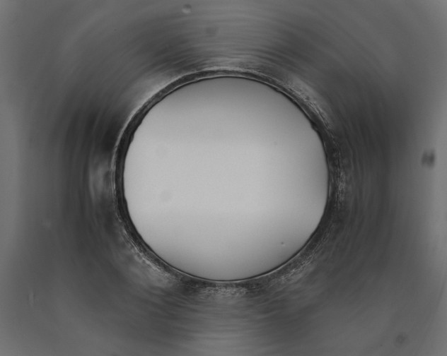 X0000090410884200708031040