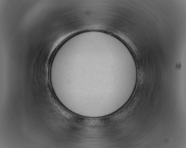 X0000090410886200708031040