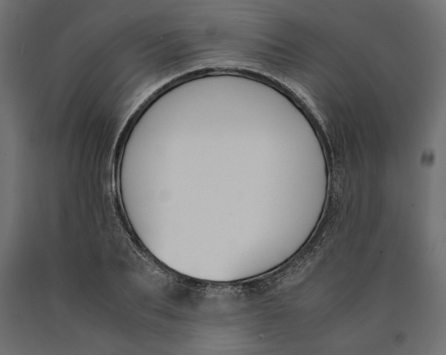 X0000090410887200708031040