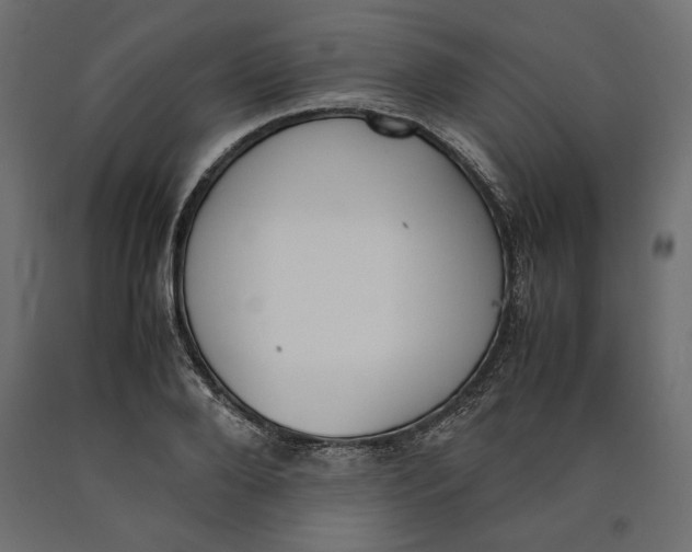 X0000090410888200708031040