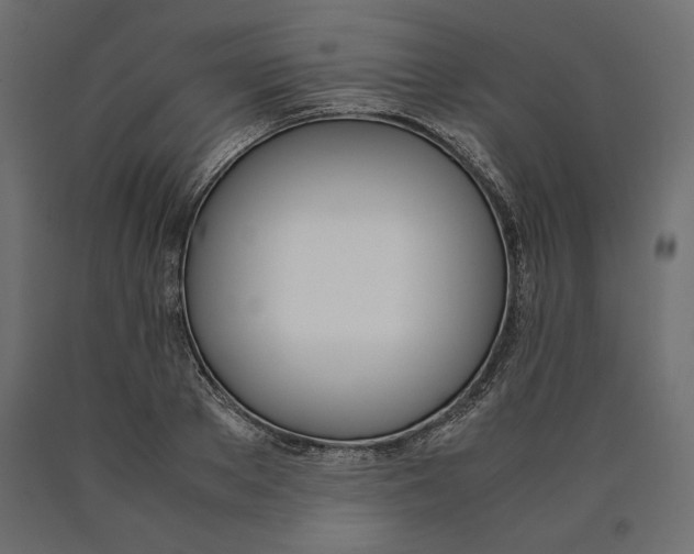 X0000090410889200708031040