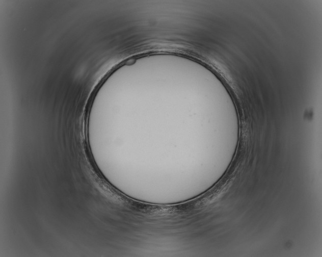 X0000090410891200708031040