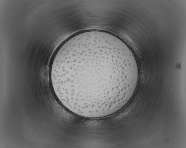 X0000090410892200708031040