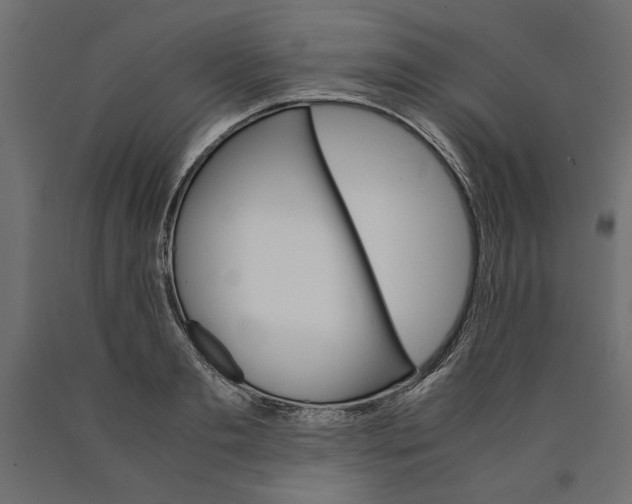 X0000090410893200708031040