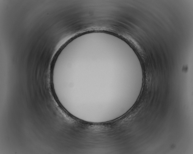 X0000090410894200708031040