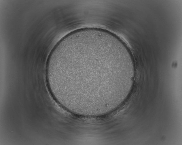 X0000090410895200708031040