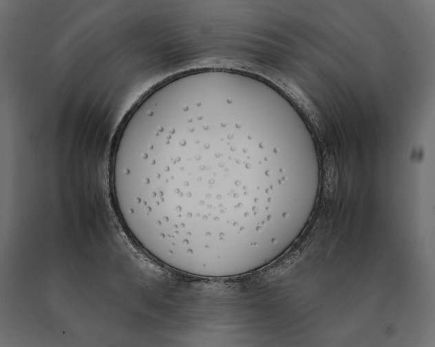 X0000090410896200708031040