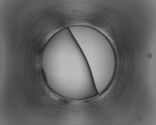X0000090410897200708031040
