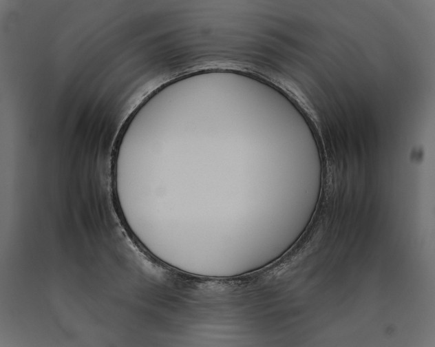 X0000090410898200708031040