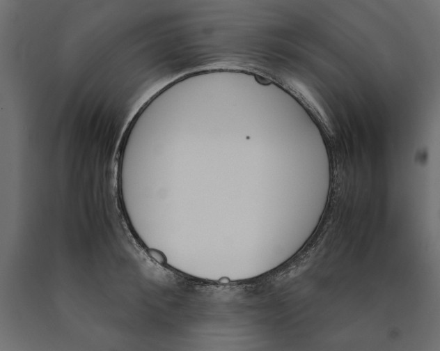 X0000090410900200708031039