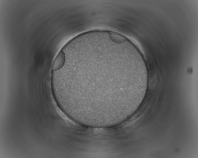 X0000090410903200708031039