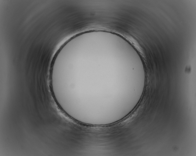 X0000090410904200708031039