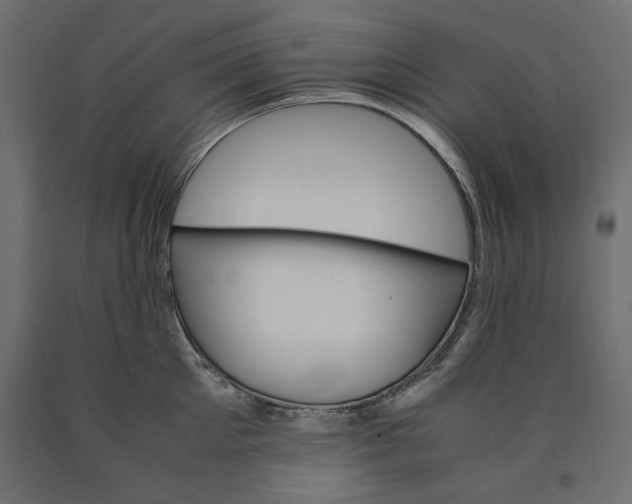 X0000090410905200708031039