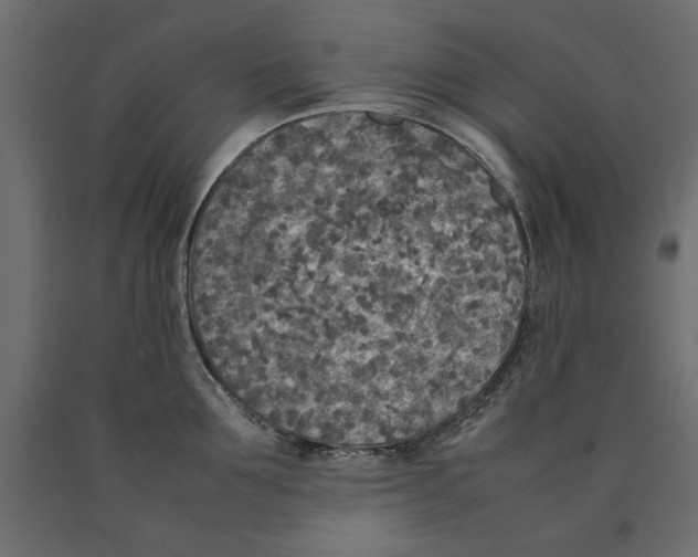 X0000090410907200708031039