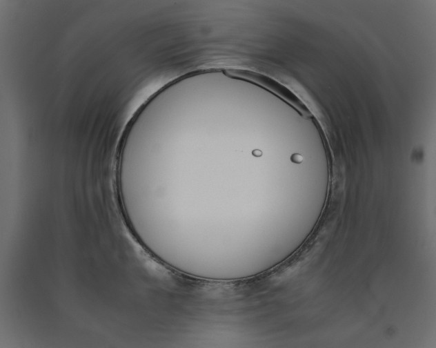 X0000090410909200708031039