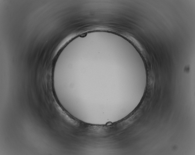 X0000090410910200708031039