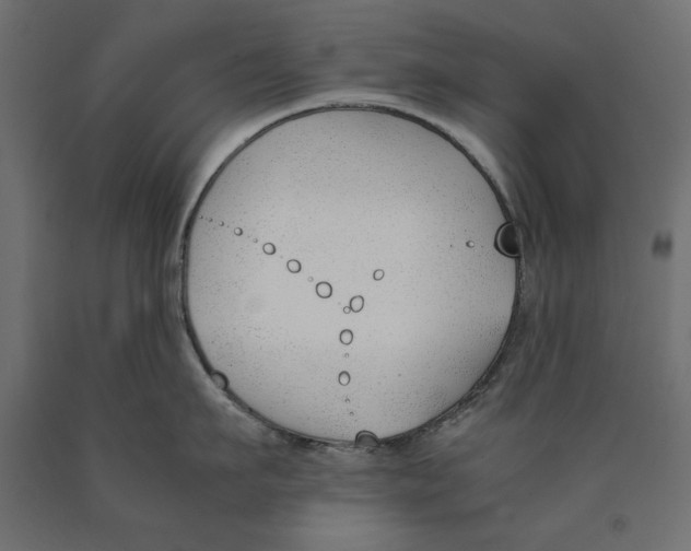 X0000090410911200708031039