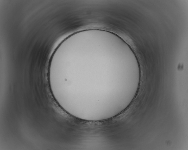 X0000090410912200708031039