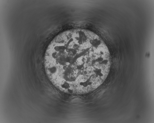 X0000090410913200708031039