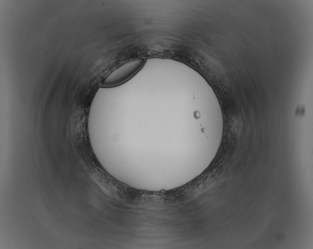 X0000090410914200708031039