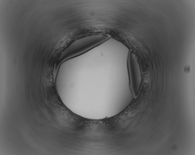X0000090410916200708031039