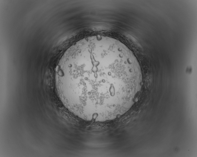 X0000090410917200708031039