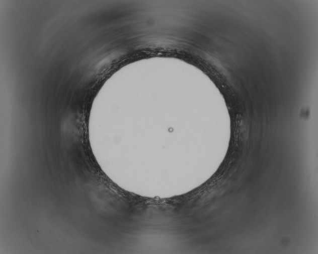 X0000090410918200708031039