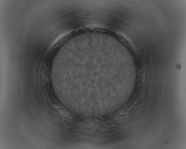 X0000090410919200708031039