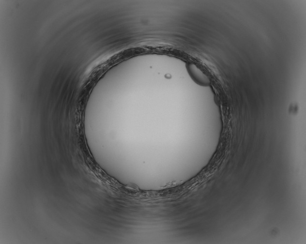 X0000090410920200708031039
