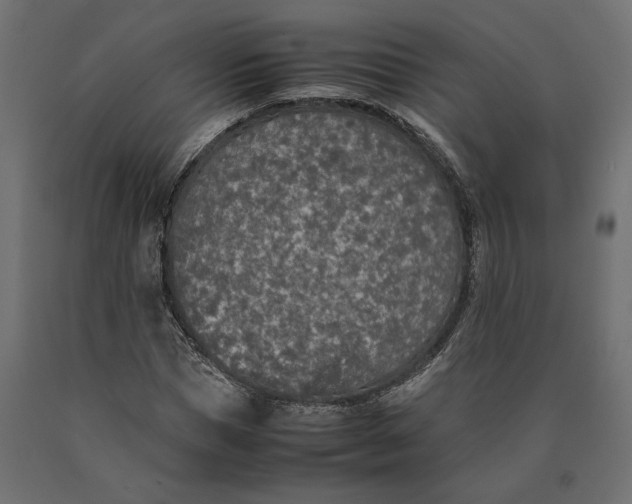 X0000090410921200708031039