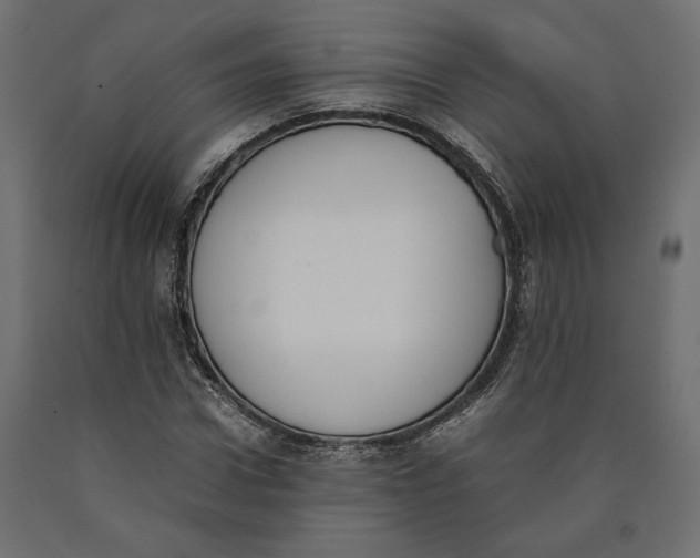 X0000090410922200708031039